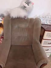 Mobilier 2 fotolii in stare foarte buna
------
Pastrat...