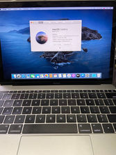 Laptop-uri MacBook 12(Retina; 8Gb; 500Gb) Intel Core M
--...