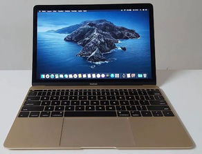 Laptop-uri MacBook 12 inch 2015 Schimb pe Ipad
------
Ba...