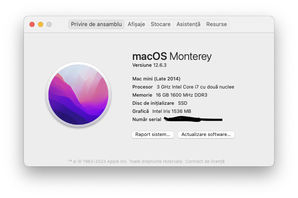 Calculatoare de masa Mac mini(late 2014, i7, 16gb, 128gb + 1tb)
---...