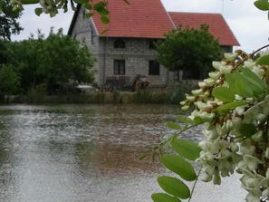 Durlesti Casa - Hotel Piscina+sauna Lac 50 Ari.
------
...